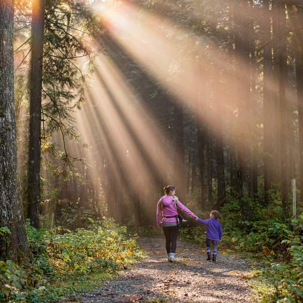 A woman hiking in the forest, holding hands with a young girl.